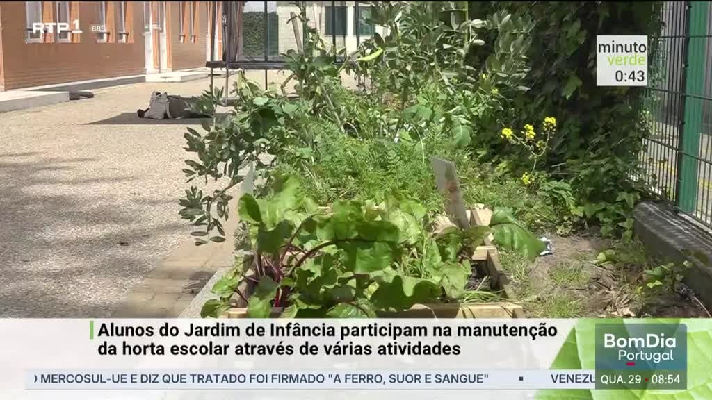 Imagem de Minuto Verde