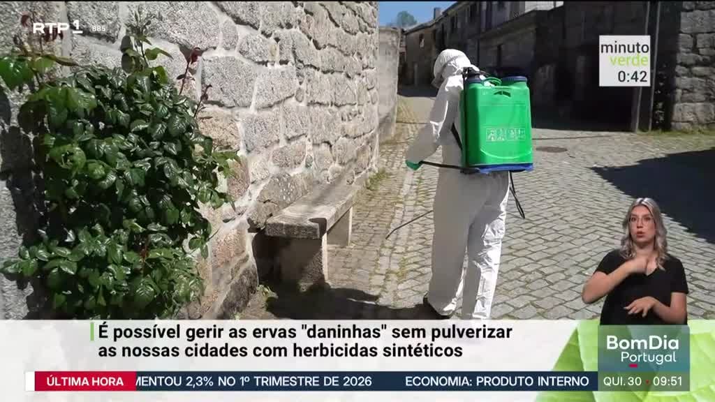 Imagem de Minuto Verde