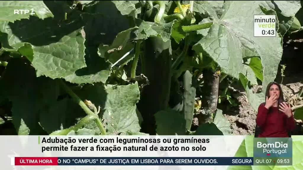 Imagem de Minuto Verde