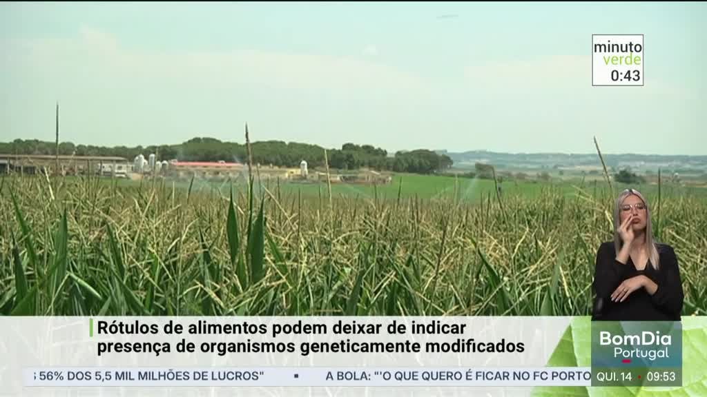 Imagem de Minuto Verde