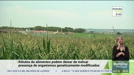 Imagem de Minuto Verde