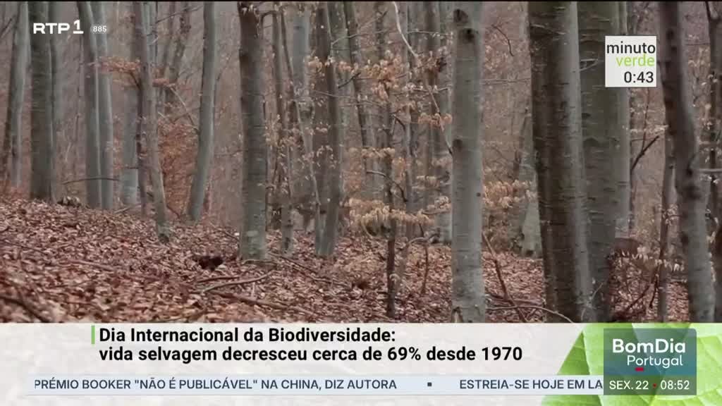 Imagem de Minuto Verde