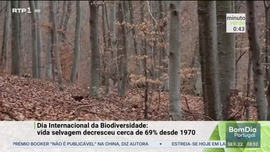 Imagem de Minuto Verde