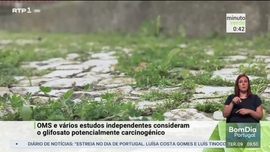 Imagem de Minuto Verde