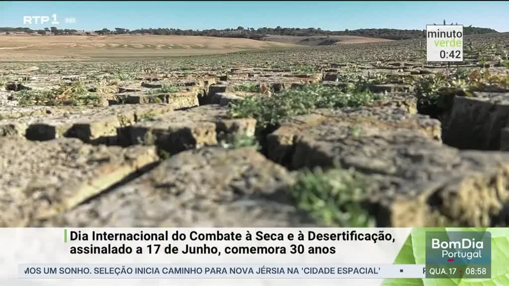 Imagem de Minuto Verde