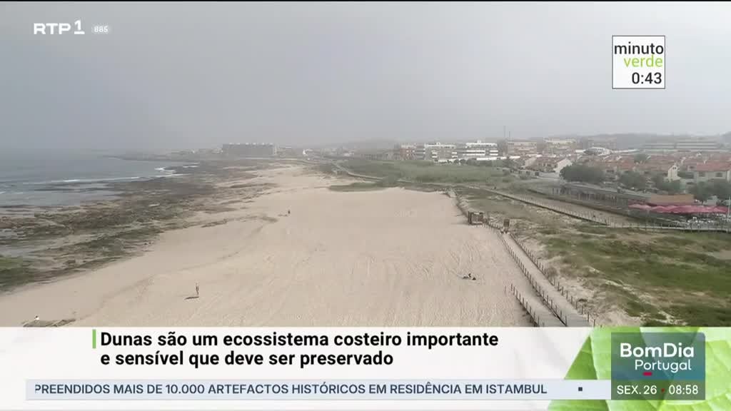 Imagem de Minuto Verde