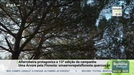 Imagem de Minuto Verde
