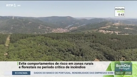 Imagem de Minuto Verde