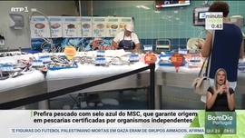 Imagem de Minuto Verde