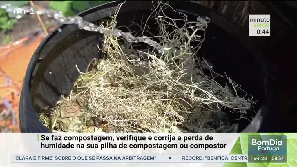 Imagem de Minuto Verde