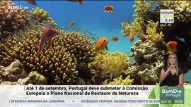 Imagem de Minuto Verde