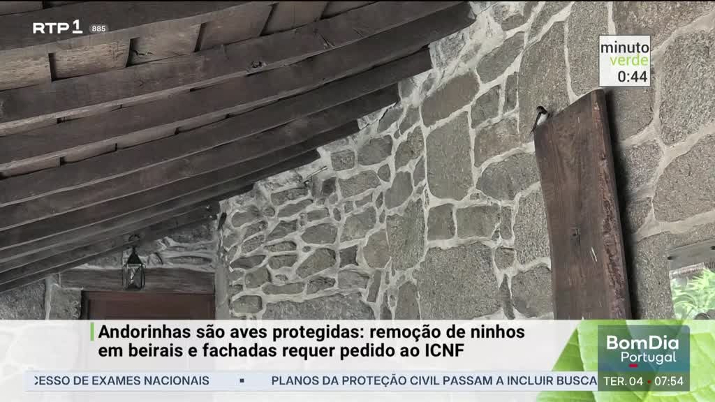 Imagem de Minuto Verde