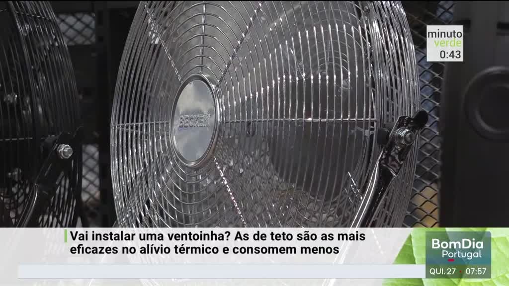 Imagem de Minuto Verde