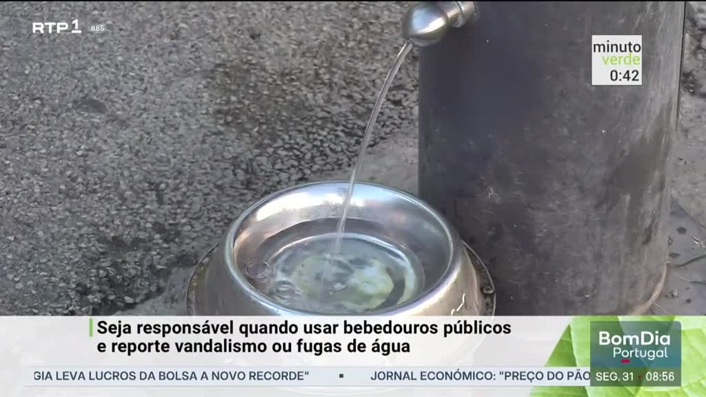 Imagem de Minuto Verde