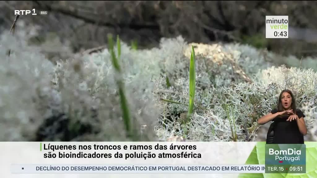 Imagem de Minuto Verde