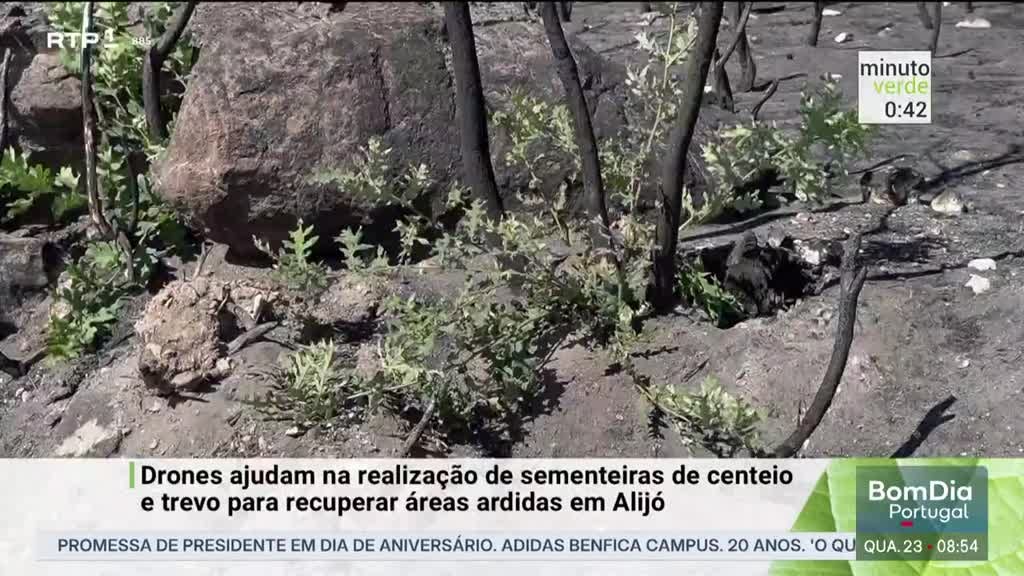 Imagem de Minuto Verde