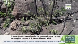 Imagem de Minuto Verde