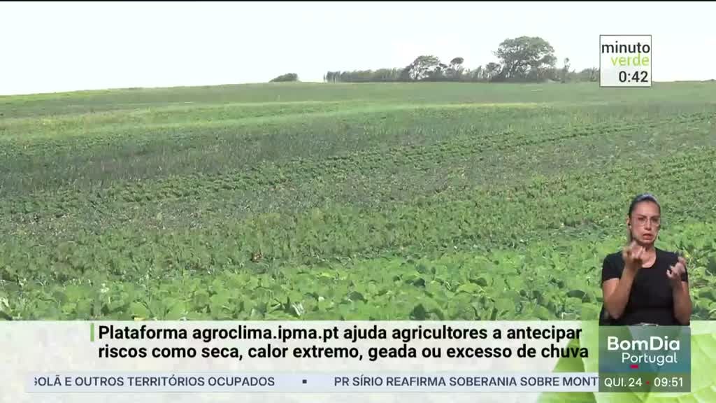 Imagem de Minuto Verde