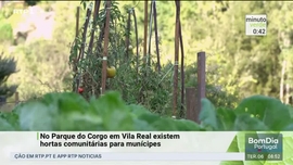 Imagem de Minuto Verde