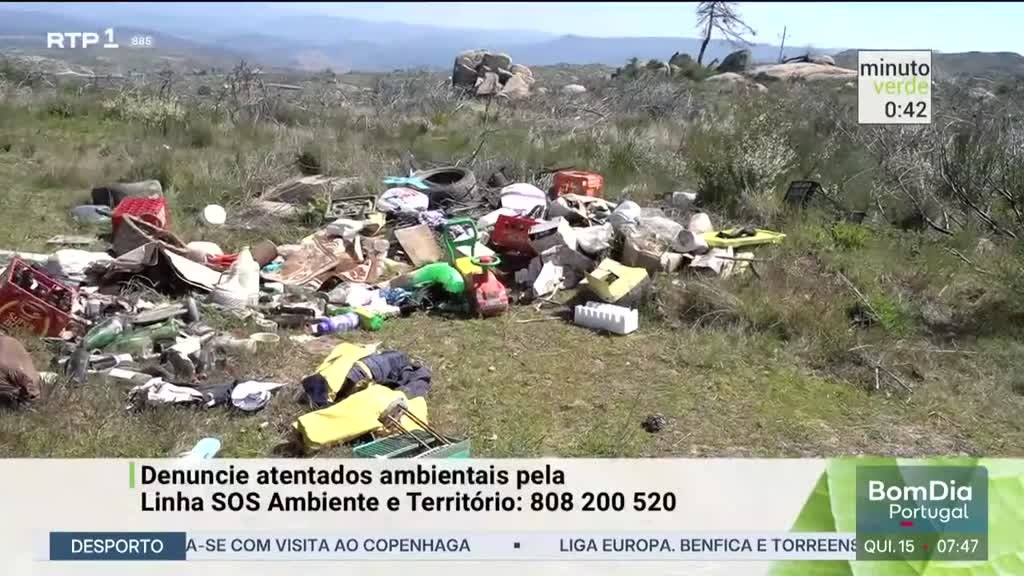 Imagem de Minuto Verde