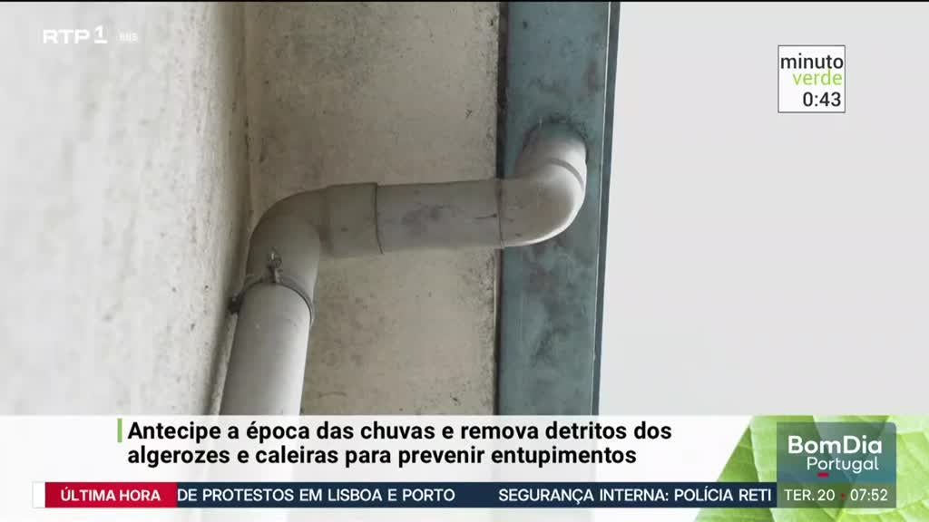 Imagem de Minuto Verde