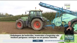 Imagem de Minuto Verde