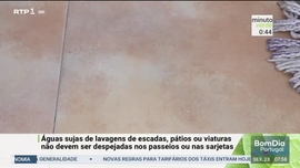 Imagem de Minuto Verde