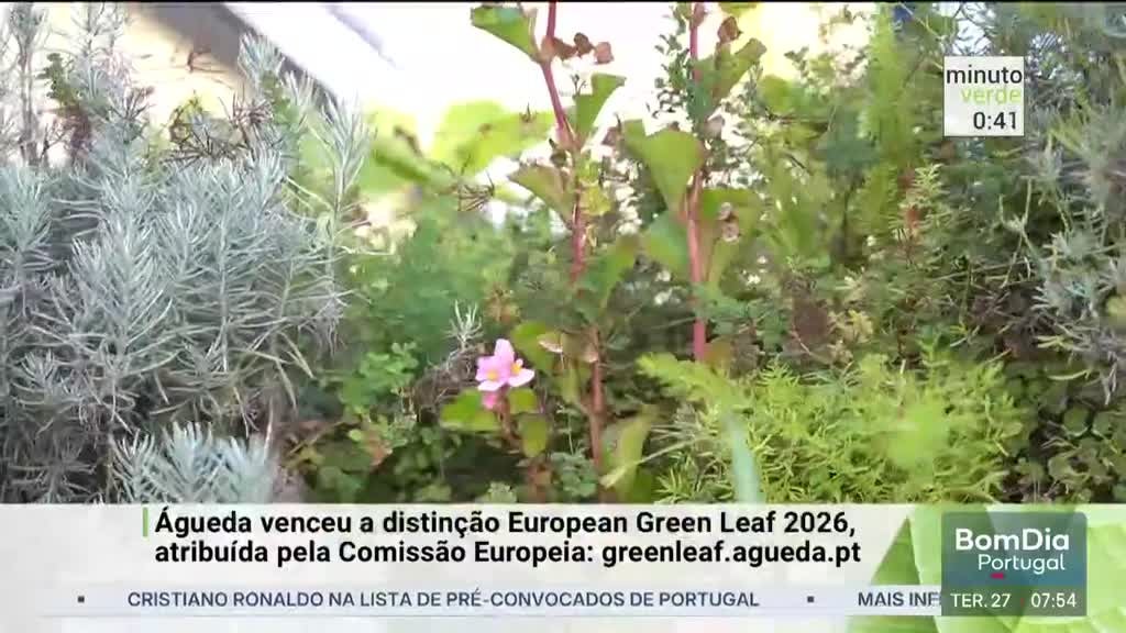Imagem de Minuto Verde