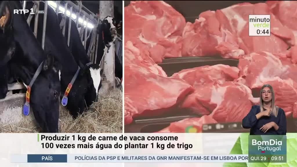 Imagem de Minuto Verde