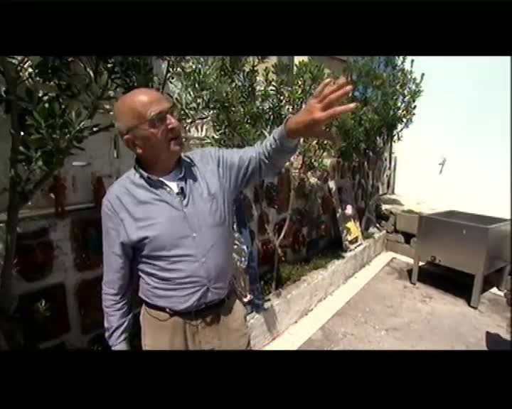 Imagem do Programa / Episiódio - Nobre Povo