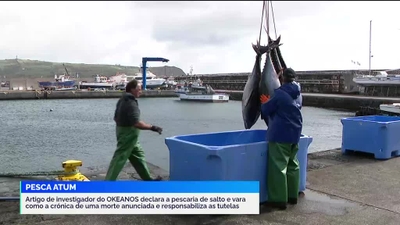 Jornal da Tarde Açores - Apresentação | Susana Silveira