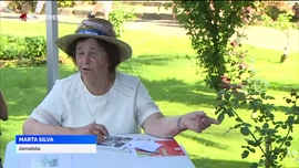 Imagem de Apresenta��o | Dulce Bradford