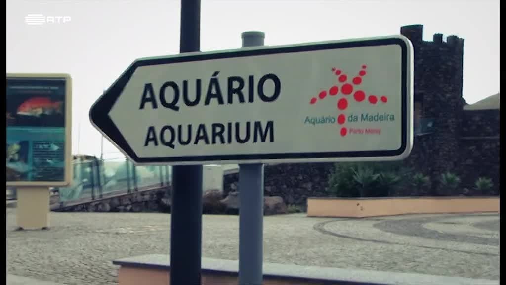 Imagem de 5 Minutos Num Instante