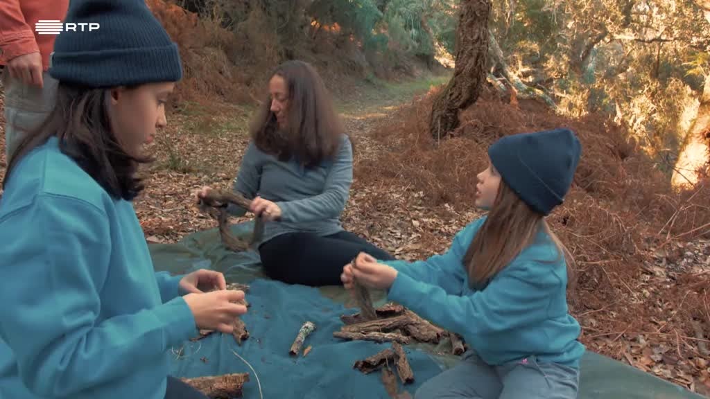 Imagem de Exploradores da Natureza - Magia da Floresta no Inverno