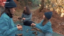 Imagem de Magia da Floresta no Inverno