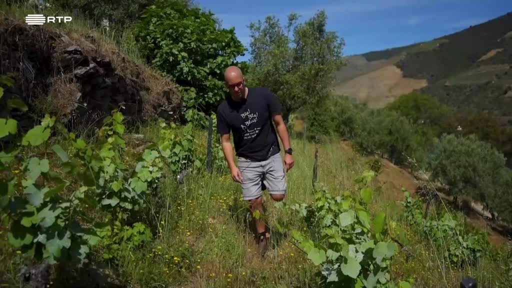 Imagem de A Essência