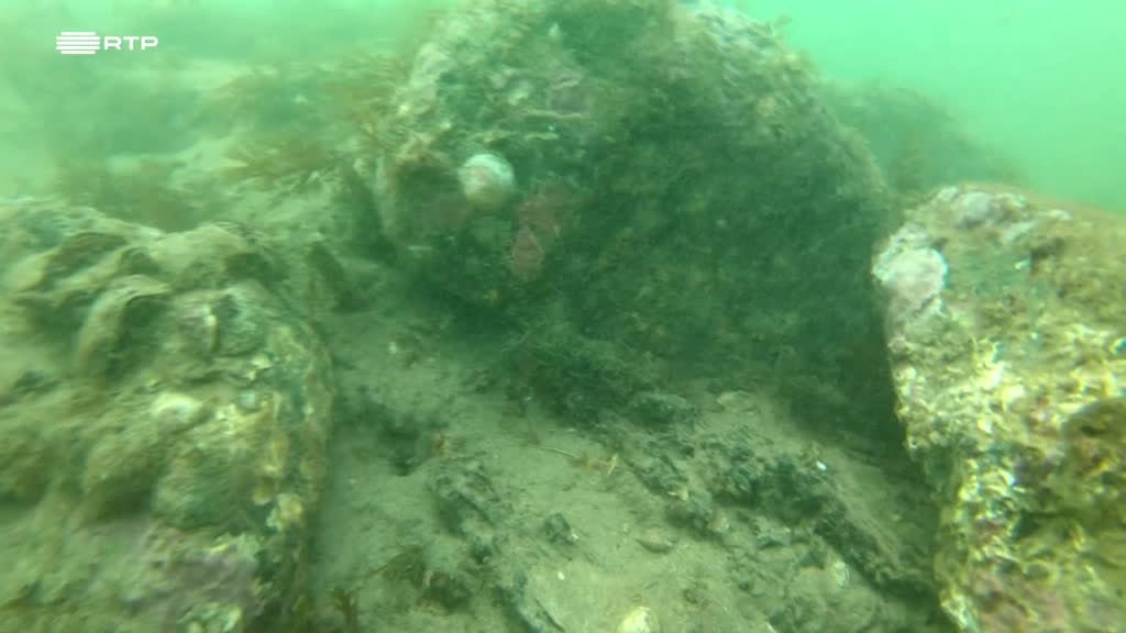 Imagem de Europa Minha