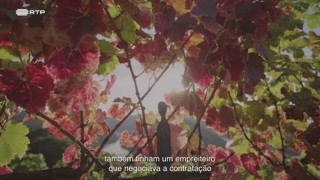 Imagem de Galegos d´Ouro