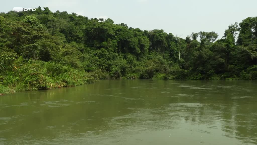Imagem de Mulheres Que Contam - Joana Amil - Veterinária e Fotógrafa