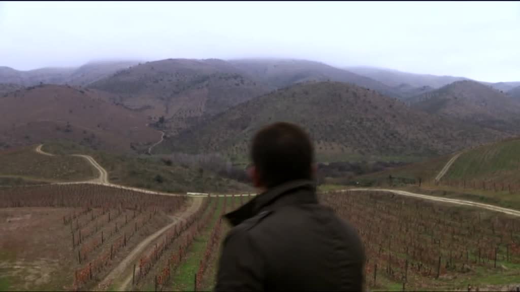 Imagem de Douro - Uma História de Séculos