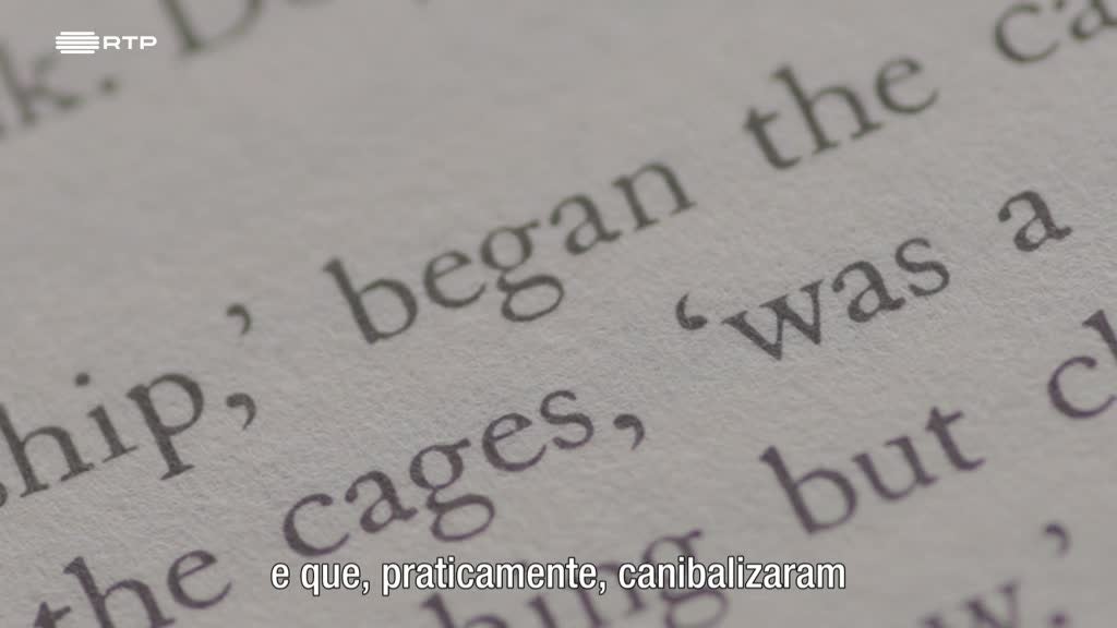 Imagem de A Vida Privada dos Livros