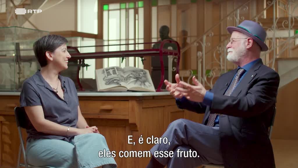 Imagem de A Vida Privada dos Livros