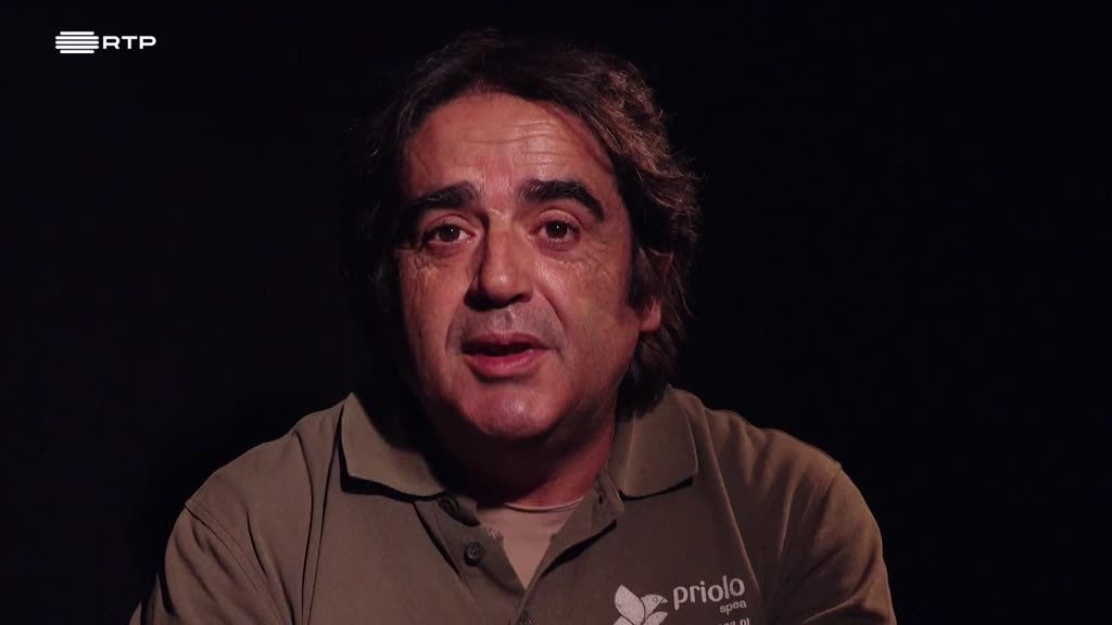 Imagem de Frias Martins: Cientista, Professor, Div