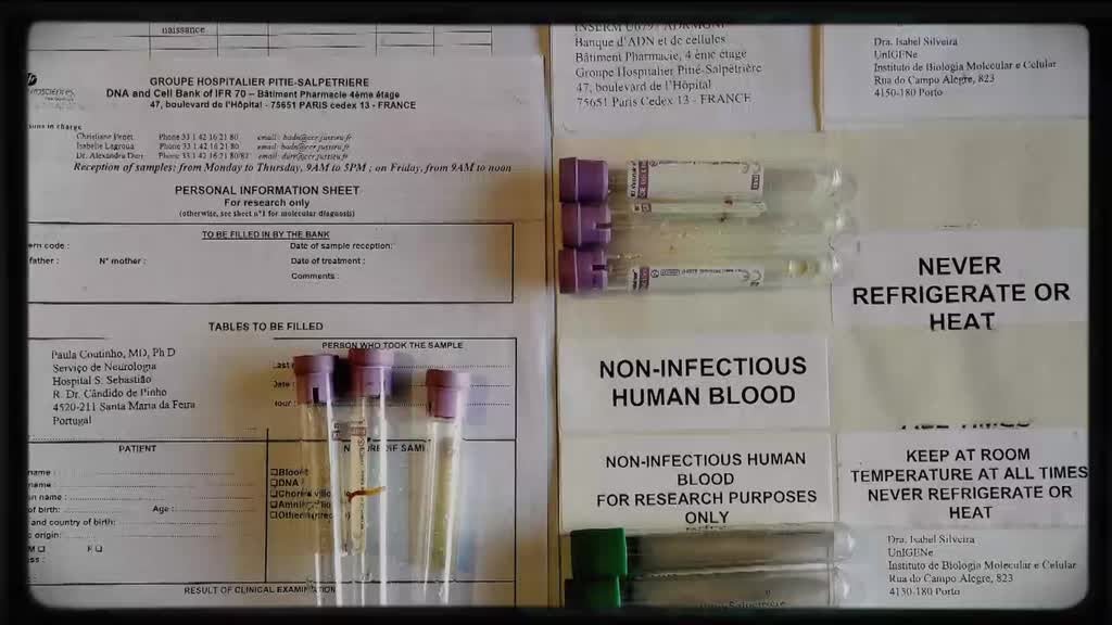 Imagem de Frias Martins: Cientista, Professor, Div