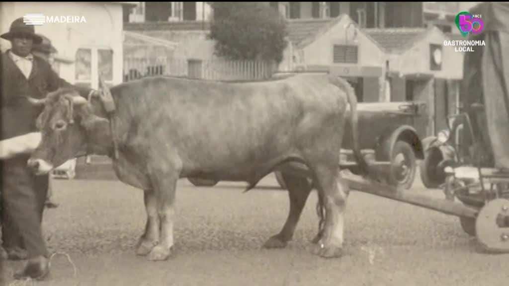 Imagem de Gastronomia Local