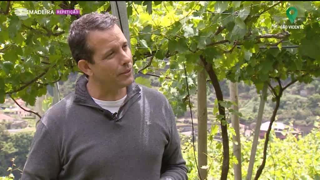 Imagem de Gastronomia Local