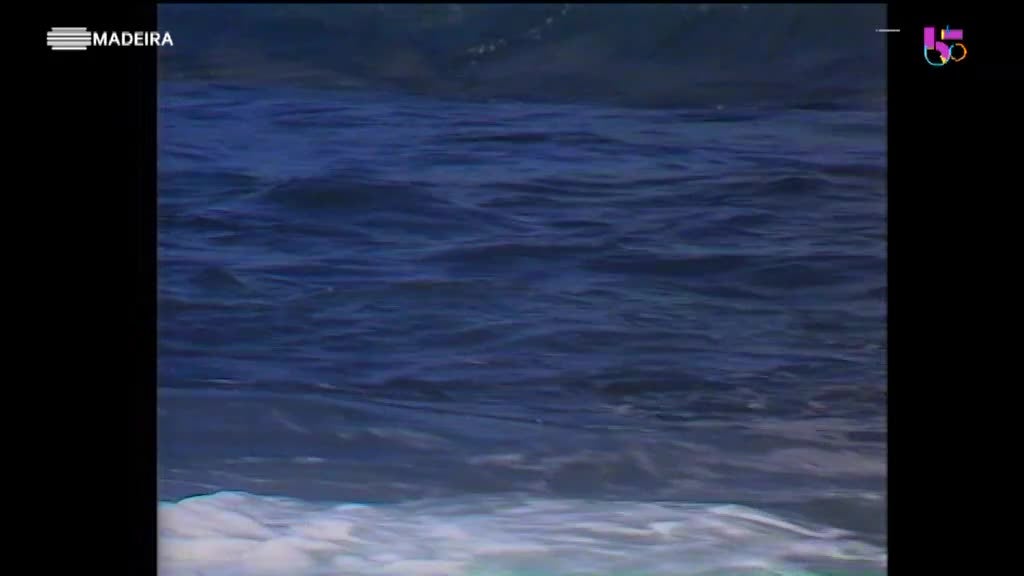 Imagem de 50 Anos de Memórias