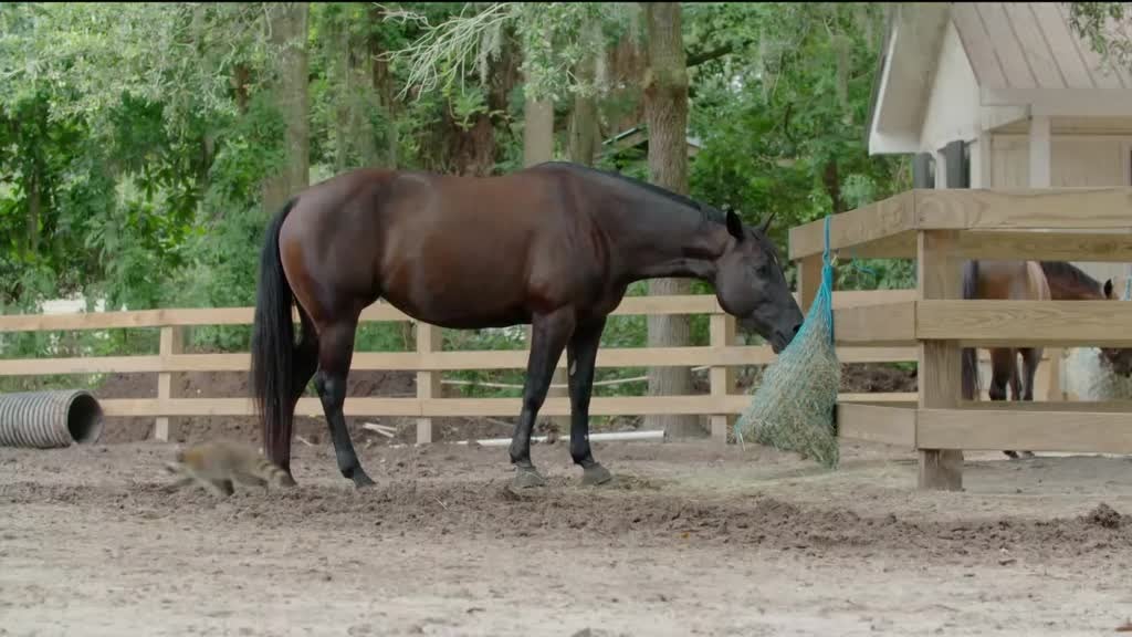 Imagem de Portugueses pelo Mundo