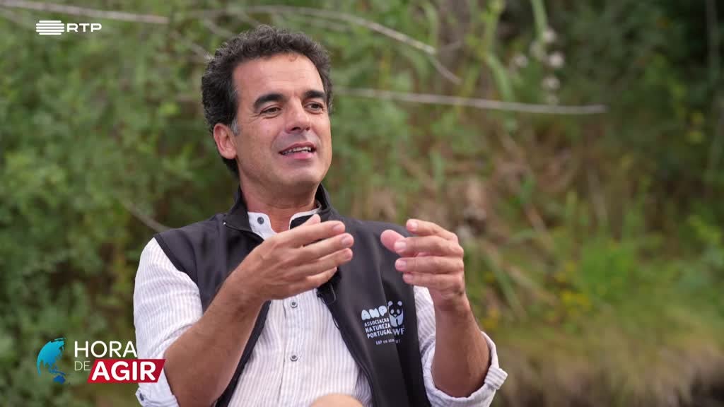 Imagem de Hora de Agir - Restauro Ecológico da Serra do Caldeirão - Projeto Plantar Água