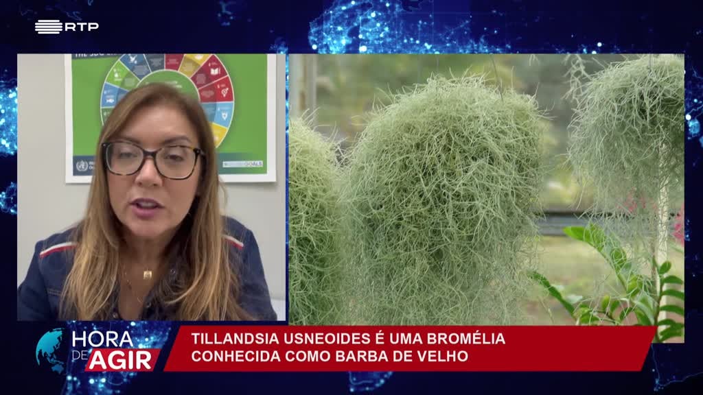 Imagem de Hora de Agir - A Poluição do Ar Nas Cidades